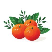 tangerine with leaves flat illustration isolated on white background vector