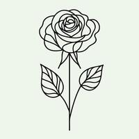A line drawing of a rose with leaves vector