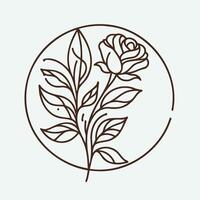 A rose is drawn in a circle with leaves vector