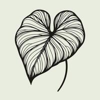illustration of a leaf with a heart shape vector