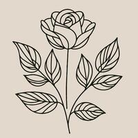 A rose is drawn in a line on a beige background vector