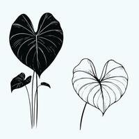 illustration of a leaf and a heart shape vector