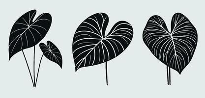 illustration of black and white leaves vector
