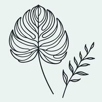 A line drawing of a plant with leaves vector