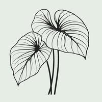 illustration of a plant with leaves vector