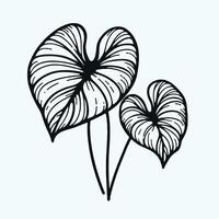 illustration of a hand drawn plant with leaves vector