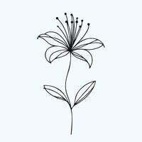 A black and white drawing of a flower, Simple Line Art vector