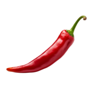 Fresh red chili pepper isolated on transparent background png