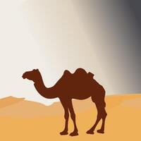 Camel, Camel in the desert vector