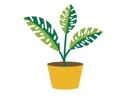 Tree icon. plant icon. Palm and tiki icon vector