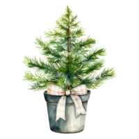 A potted Christmas tree with a beige bow png