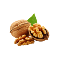 Walnut with slice on transparent background png