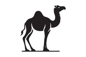 A camel silhouette on a white background vector