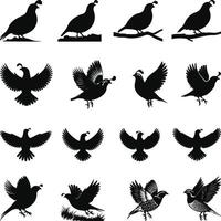 Quail silhouette, Quail Vectors illustration, Quail isolated on white background.