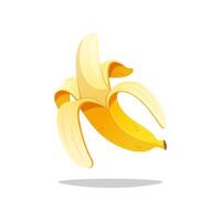 Half peeled banana isolated on white background. vector
