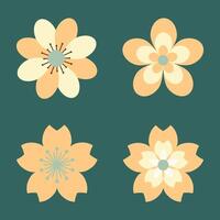 Beautiful Yellow Orange Flower Collection vector