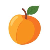 Juicy Peach Halves Isolated for Natural Concepts vector