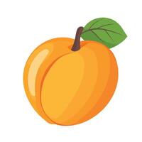 Fresh Peach Halves with Vibrant Colors vector