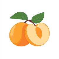 Vibrant Sliced Peach with Natural Appeal vector