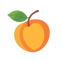 Bright and Fresh Peach Halves on Clean Canvas vector