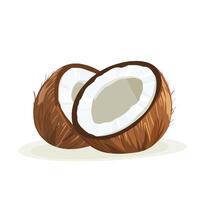 Fresh Cracked Coconut with White Background vector