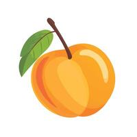 Freshly Cut Peach Halves Showing Bright Flesh vector