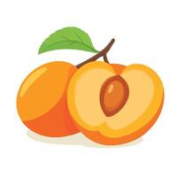 Close-Up of a Cut Peach with Vibrant Colors vector