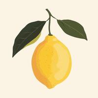 Beautiful Lemon with Leaves Symbolizing Freshness vector