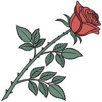 A rose with leaves and a stem vector