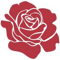 A red rose is shown in a white background vector