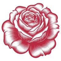 A red rose is shown in a woodcut style vector