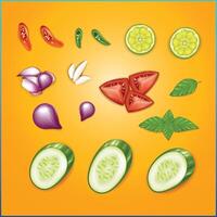 A realistic set of spices vector