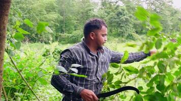 Clearing dense green branches using axe video