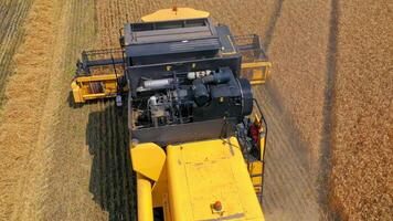 Combine harvester in action on the field. Combine harvester. Harvesting machine for harvesting a wheat field. video