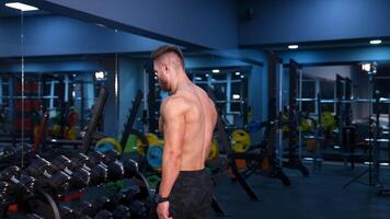 Strength workout. Determined fit man exercising with dumbbells pumping bicep muscles over gym background. from the back. video