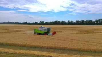 Combine harvester in action on the field. Combine harvester. Harvesting machine for harvesting a wheat field. video