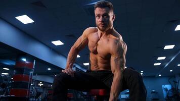 Handsome strong young bodybuilder work out with dumbbells. Strong abs. Modern gym background. from below. video