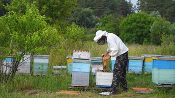 Beekeeper in protective workwear. Hives background at apiary. Man works on the apiaries in the spring. video