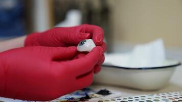 Ophtalmologist holds plastic eyeball in hands. Detailed model of eye. Selective focus on hands in red latex gloves. video