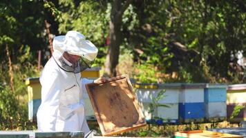 Hardworking beekeeper checks beehives in an apiary. Man in protective white uniform at garden with many beehives. video