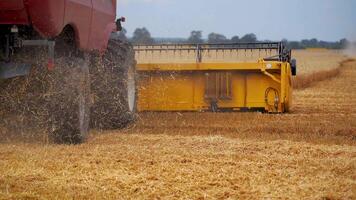 Agriculture machine harvesting crop in fields. Special technic in action. Agricultural technic in field. Heavy machinery, blue sky above field. video
