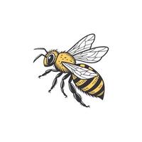 A bee logo with a yellow and black body vector
