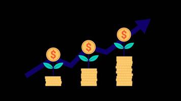 Animations of coin stacks, money trees and graphic arrows, ideal for finance and growth themed content. video