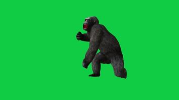 gorila puñetazo ataque 3d hacer animación aislado en verde pantalla antecedentes video