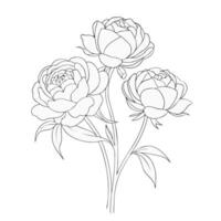 Hand drawn Peony flower outline coloring book page line art for children vector