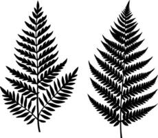 Elegant Green Fern Leaves with Fine Details and Contrast Design vector