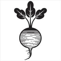 Rustic Textured Beetroot Icons vector