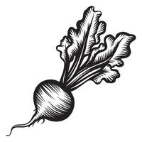 Unique Textured Beetroot Icon Set vector