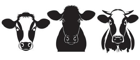 Head-On View of Cow Design Set vector