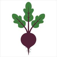 Simple Beetroot Icon Design vector
